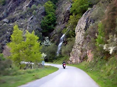 DSCN9171 DSCN9171
