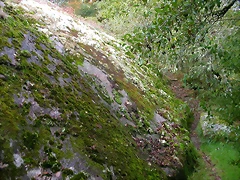 DSCN5740 DSCN5740