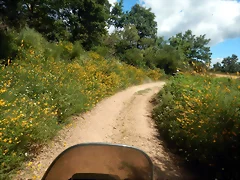 DSCN3019