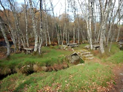 DSCN9376 DSCN9376