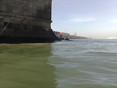 05022011831 05022011831