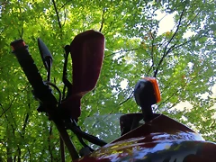 IMG_8606