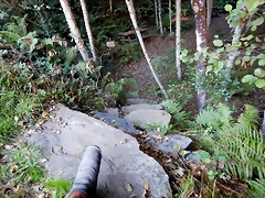 DSCN9592 DSCN9592