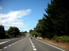 DSCN8690 DSCN8690