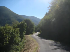 IMG_1075 IMG_1075