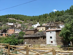 P1070184 P1070184