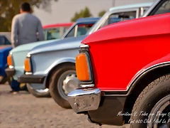 DSC_0429 DSC_0429
