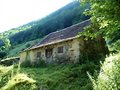 IMG_6750 IMG_6750