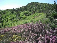 DSCF2507 DSCF2507