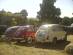 IMG-20130818-05592 IMG-20130818-05592