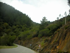 DSCN9341 DSCN9341