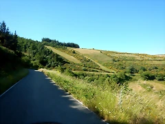 DSCN2398 DSCN2398