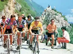 1982,TOUR  DE FRANCIA,HINAULT-RAIMOND MARTIN.