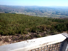DSCN2733 DSCN2733