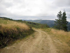 IMG_0441 IMG_0441
