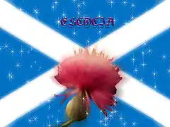 BANDERA ESCOCIA