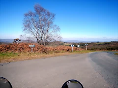 DSCN1464 DSCN1464