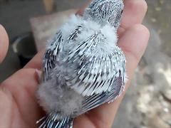 20180205_141154