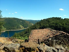 DSCN4125 DSCN4125