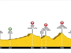 4 almansa callosa