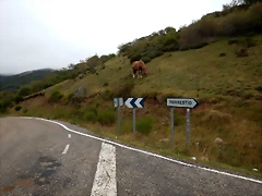 DSCN6644 DSCN6644