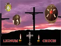 lignum crucis