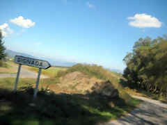 IMG_0599 IMG_0599