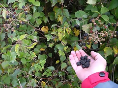 DSCN3315 DSCN3315