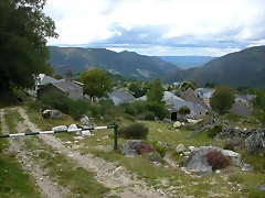 DSCN3313 DSCN3313