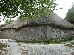 DSCN3305 DSCN3305