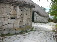DSCN3316 DSCN3316