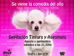 Afiche Pink dog