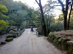 DSCN1664 DSCN1664