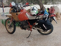 IMG-20250314-WA0022