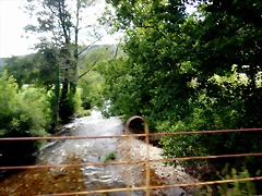 DSCN3255 DSCN3255