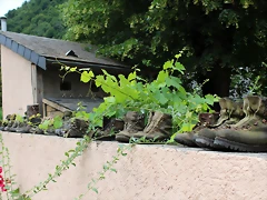 IMG_6707 IMG_6707