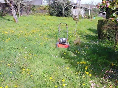 DSCN8854 DSCN8854