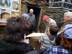 DSCN0341 DSCN0341