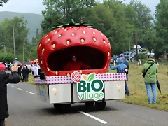 IMG_6965 IMG_6965