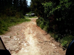 DSCN5390