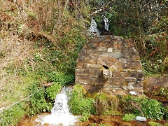 DSCN9153.JPEG DSCN9153.JPEG