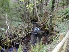 DSCN0724 DSCN0724
