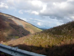 DSCN8523 DSCN8523