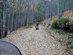 DSCN9595 DSCN9595