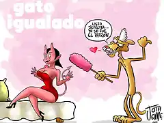 DIABLA VS GATO