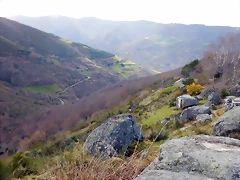 DSCN9220.JPEG DSCN9220.JPEG