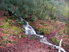 DSCN0709 DSCN0709