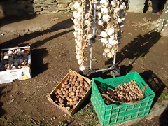 DSCN2467 DSCN2467