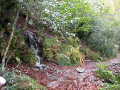 DSCN0675 DSCN0675