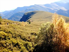 DSCN9744 DSCN9744